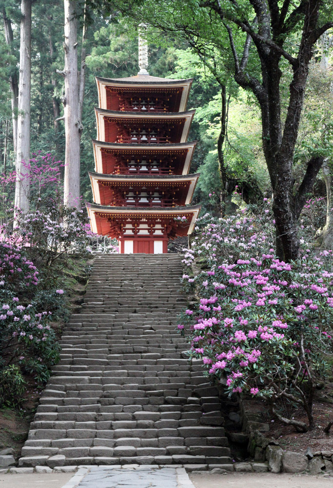 宇陀市 室生寺 五重塔 石楠花 魅せられて大和路