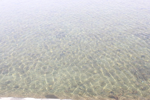 e0004846_023311.jpg