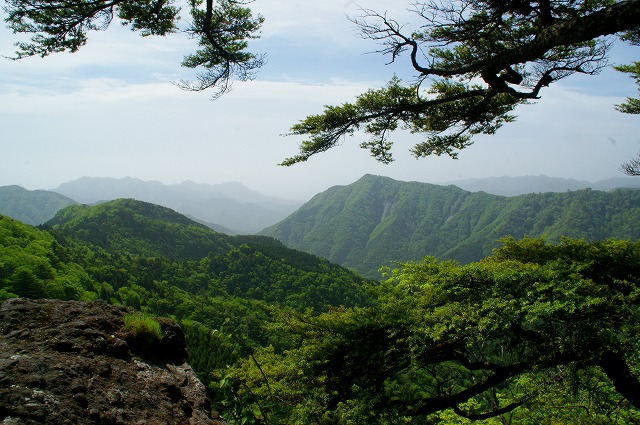 「シャクナゲの鷹ノ巣山」（２）_f0201348_10241760.jpg