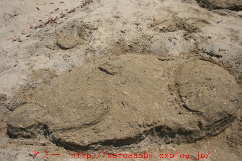 d0105749_17155.jpg