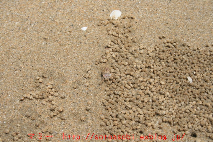 d0105749_1781454.jpg