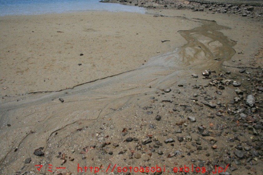 d0105749_1783959.jpg