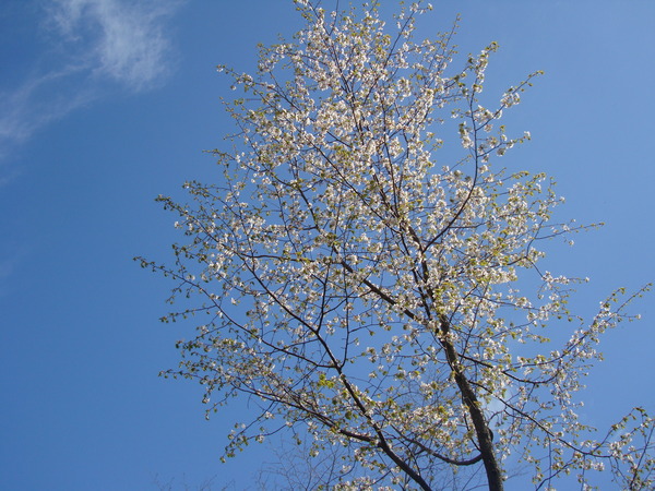 f0198556_03973.jpg