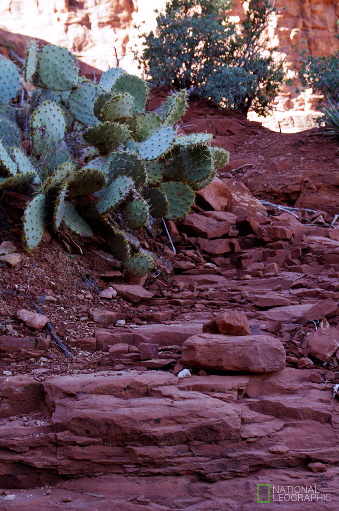 a0190559_98757.jpg