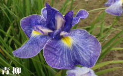 2011年5月14日(土)5月晴れと卓球!_f0060461_11493147.jpg