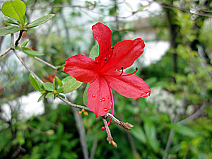 a0119963_10299.jpg