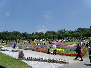 花かごしま2011_b0061863_22364918.jpg