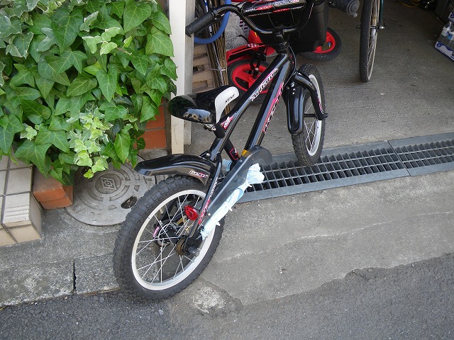 e0032163_11223429.jpg
