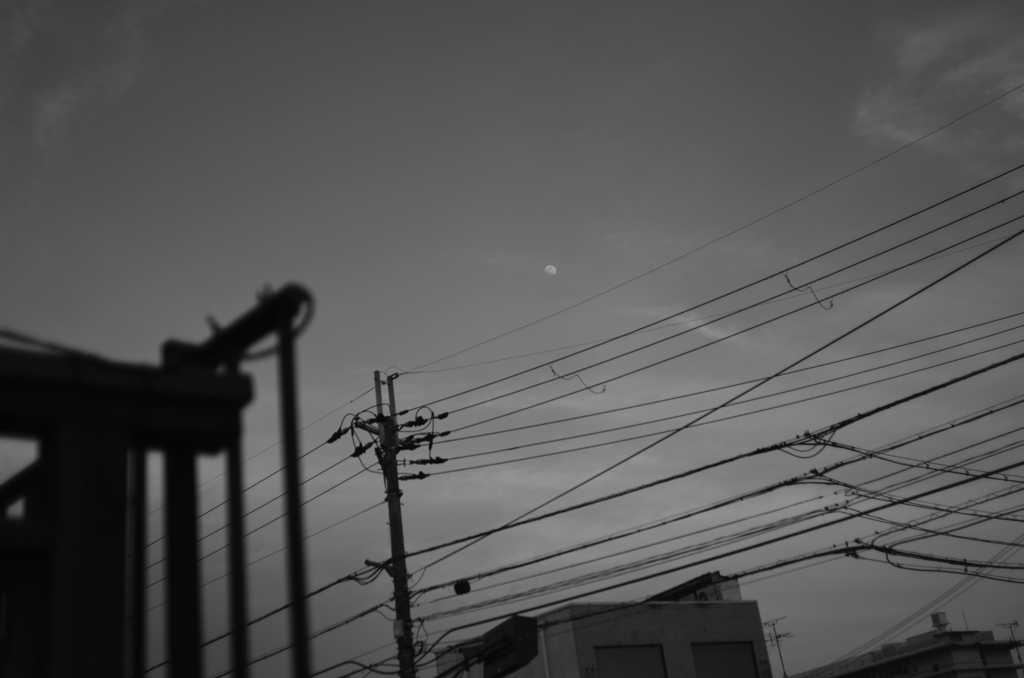 f0167977_20183826.jpg