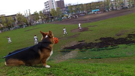c0160878_20582215.jpg