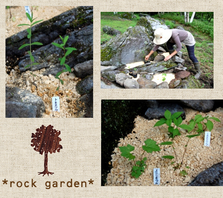 rock garden (by yome)_a0202688_20482887.jpg