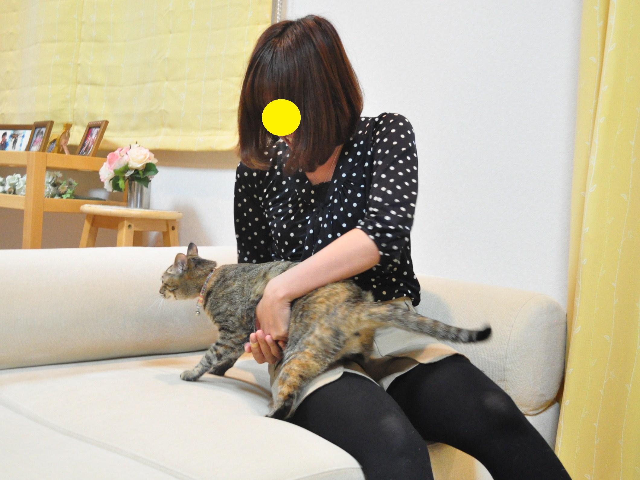 抱っこして写真を撮ってみようの巻_a0126590_11264751.jpg