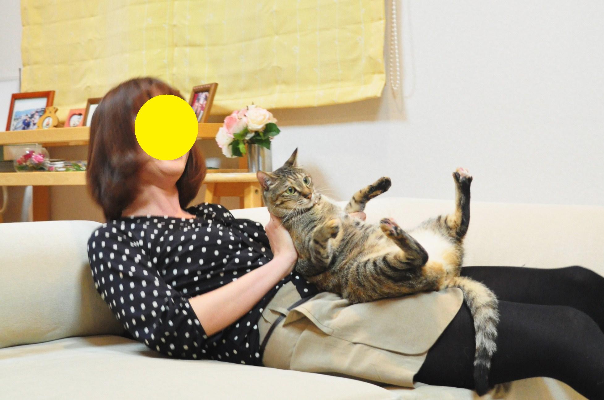 抱っこして写真を撮ってみようの巻_a0126590_6585233.jpg