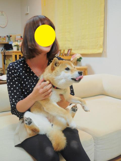 抱っこして写真を撮ってみようの巻_a0126590_729943.jpg
