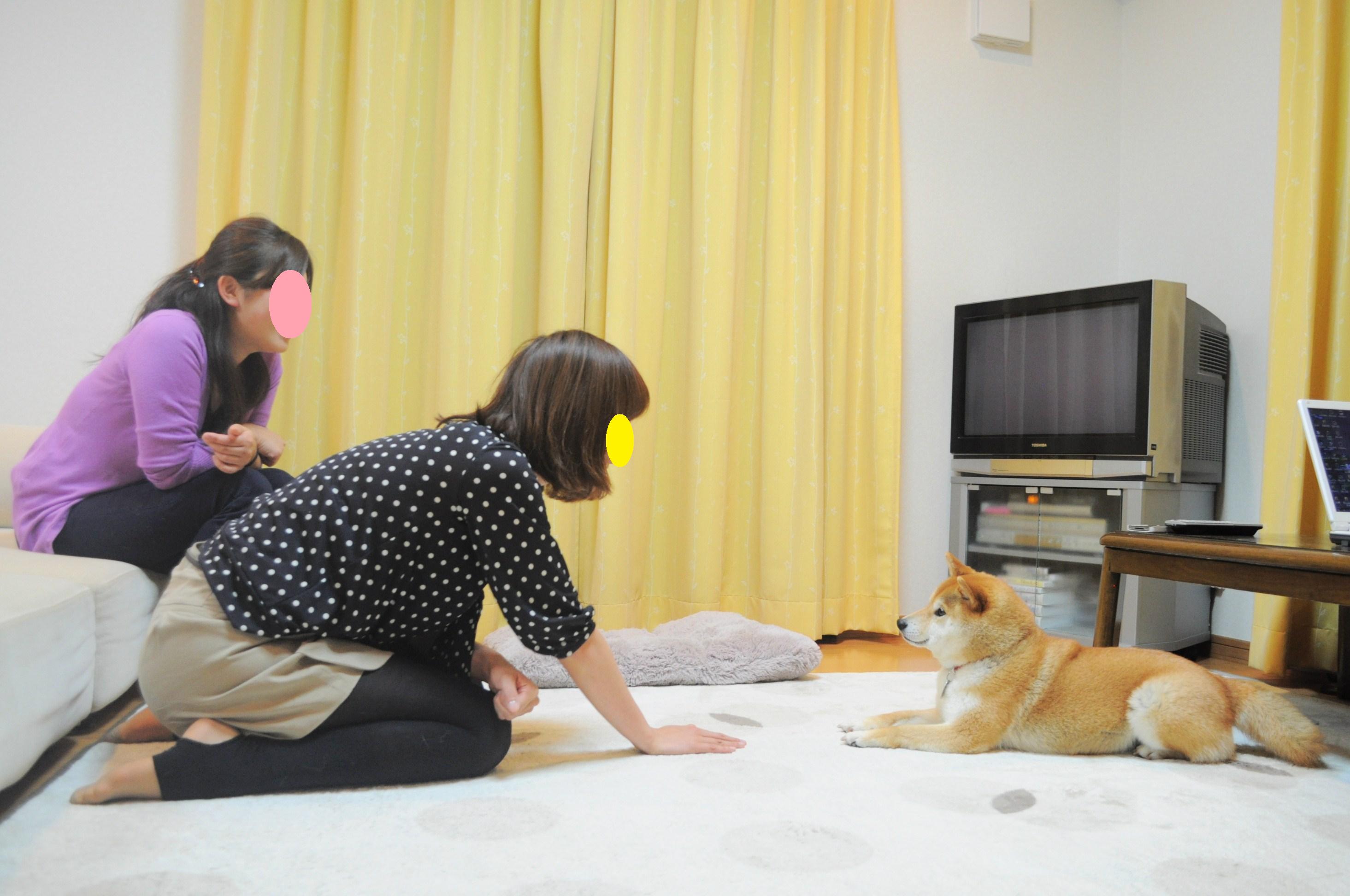 抱っこして写真を撮ってみようの巻_a0126590_7462228.jpg