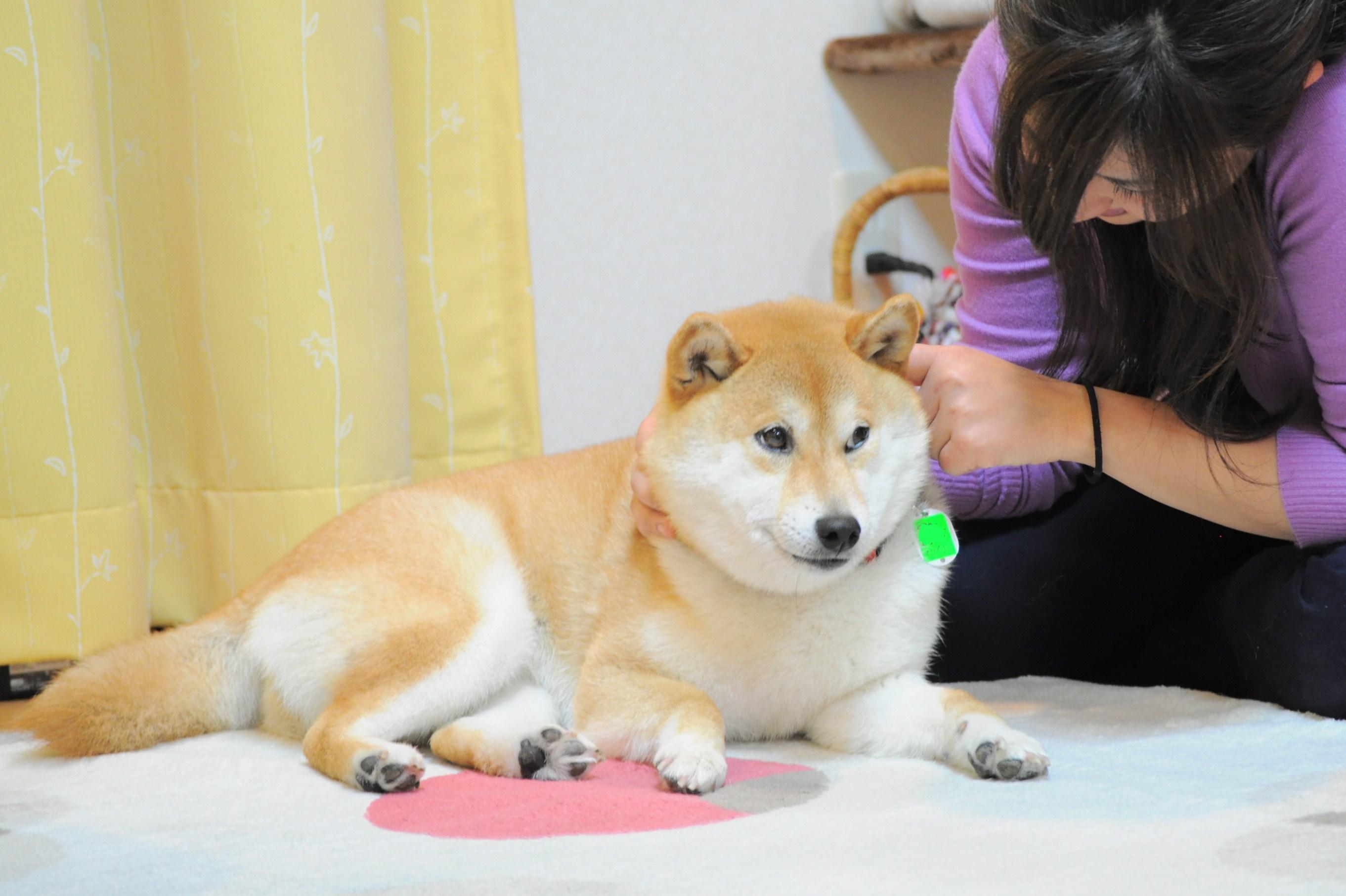 抱っこして写真を撮ってみようの巻_a0126590_8413956.jpg