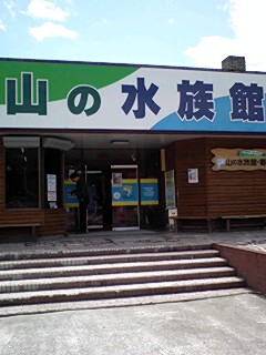 水族館。_b0046200_9551297.jpg