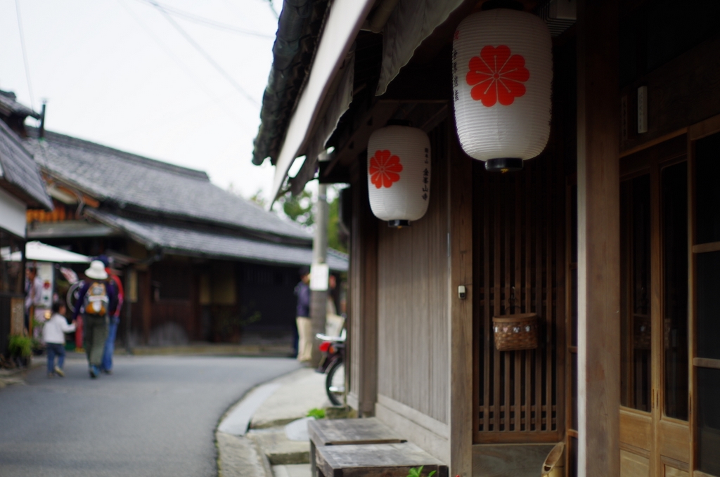 まだまだ「桜」載せます ～ 吉野奥千本への道 編 ⑦_b0138101_725292.jpg