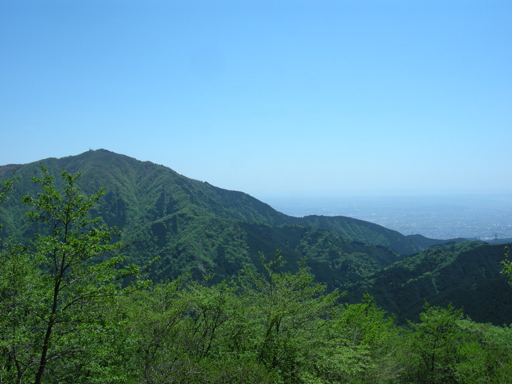 a0158802_2315911.jpg