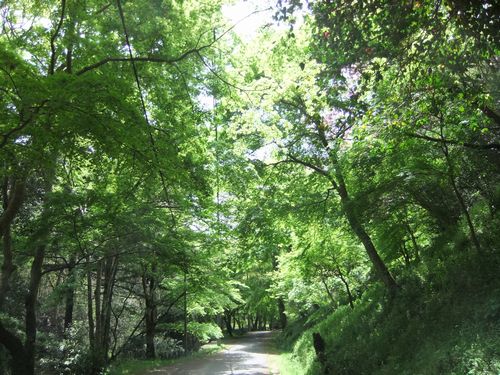 f0120102_10122476.jpg