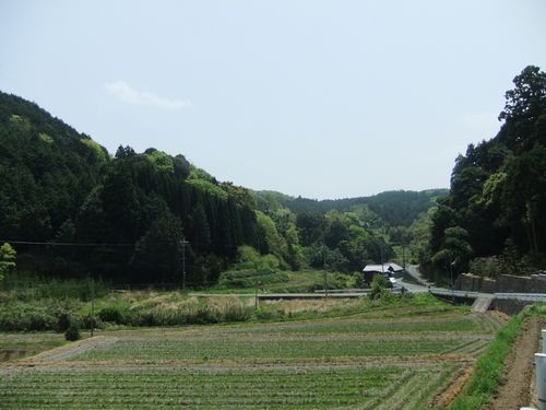 正暦寺から菩提山麓をのどかに歩く_f0120102_10141449.jpg