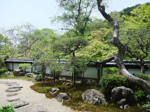 「正暦寺」で秘仏：薬師如来倚像と孔雀明王を拝観_f0120102_9482530.jpg