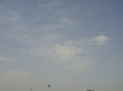 a0167803_837277.jpg