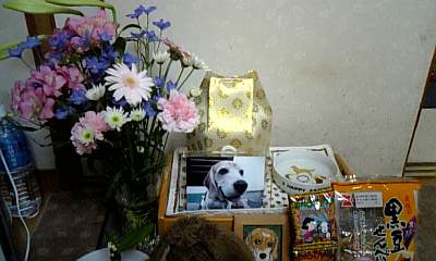 a0013905_23214020.jpg
