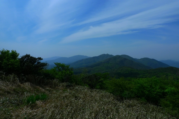 a0097006_10265089.jpg