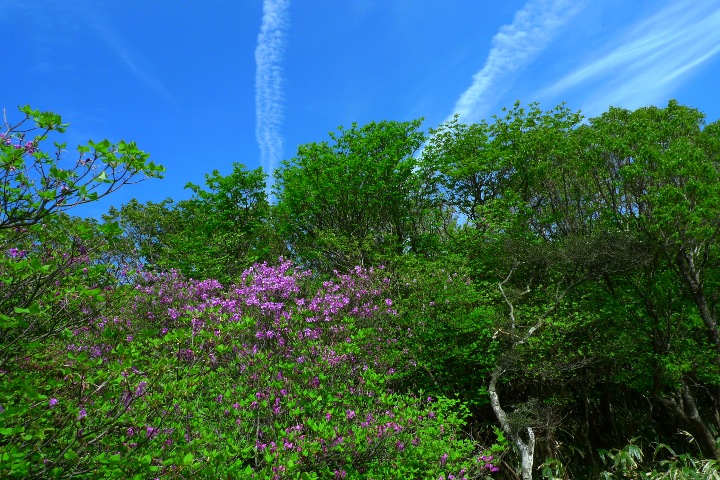 a0097006_10313026.jpg