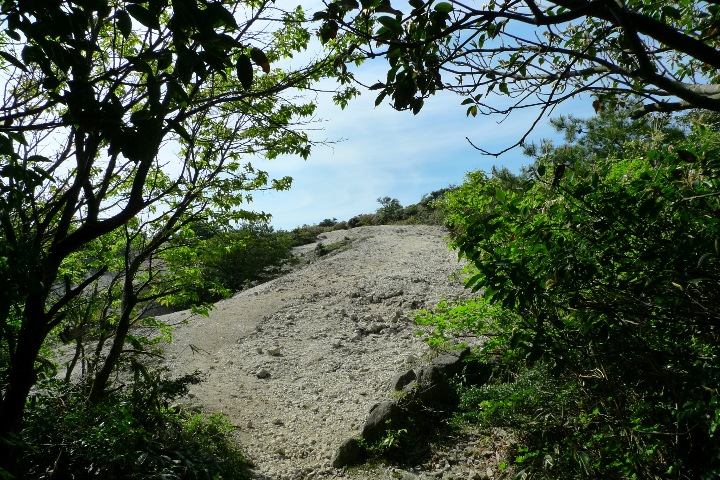a0097006_10351357.jpg