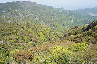 b0117406_16382217.jpg