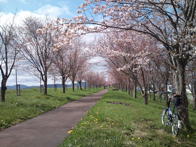 d0160307_21212998.jpg