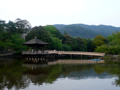 b0147611_192419.jpg