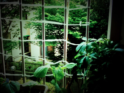 c0026612_954149.jpg