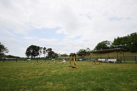 f0191413_1021372.jpg