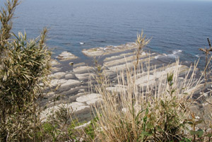 a0031714_019533.jpg