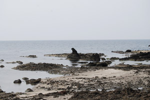 a0031714_0224618.jpg
