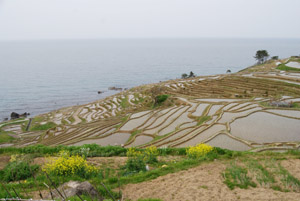 a0031714_0244235.jpg