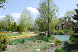 a0031714_0265141.jpg
