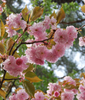 a0031714_0303167.jpg