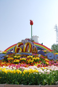 a0031714_0312969.jpg