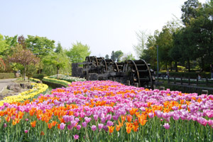a0031714_034163.jpg