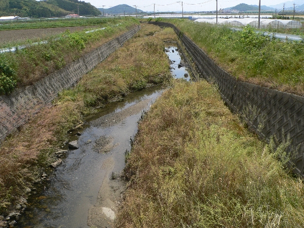 e0002314_17305033.jpg
