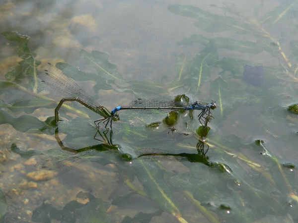 e0002314_17472422.jpg