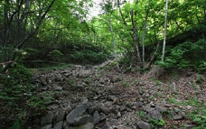 c0223419_1619726.jpg
