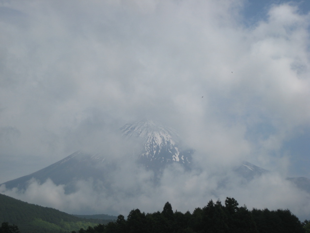 雨上がり_b0093221_1064849.jpg