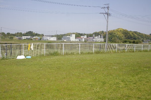 a0055024_15293790.jpg