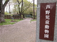 b0147224_22521712.jpg