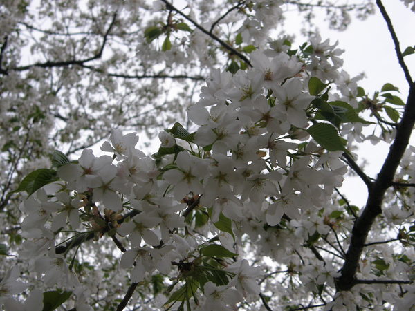 e0204927_01777.jpg